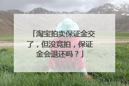 淘宝拍卖保证金交了，但没竞拍，保证金会退还吗？