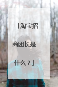 淘宝招商团长是什么?