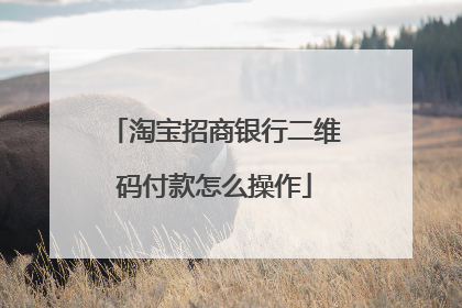 淘宝招商银行二维码付款怎么操作