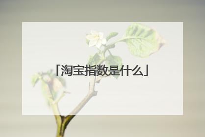 淘宝指数是什么