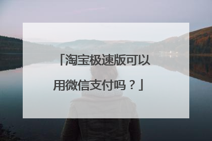 淘宝极速版可以用微信支付吗？
