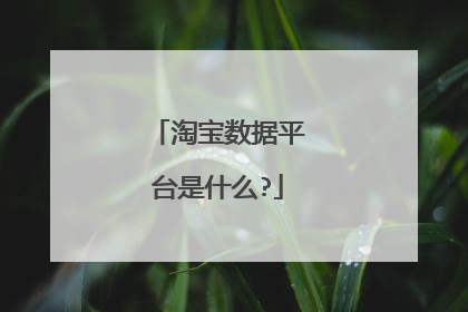 淘宝数据平台是什么?
