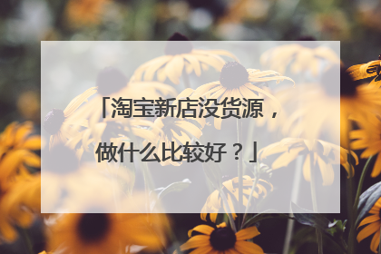 淘宝新店没货源,做什么比较好?