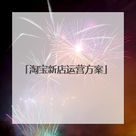 淘宝新店运营方案
