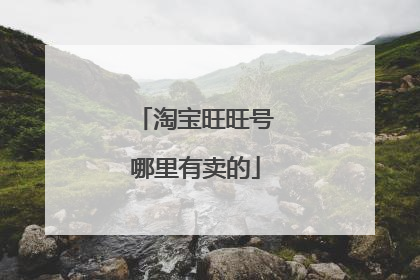 淘宝旺旺号哪里有卖的