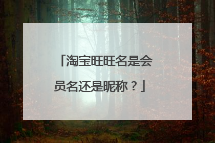 淘宝旺旺名是会员名还是昵称？