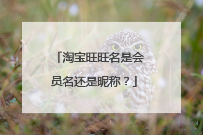 淘宝旺旺名是会员名还是昵称?