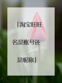 淘宝旺旺名是账号还是昵称