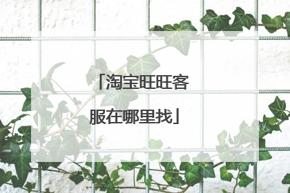 淘宝旺旺客服在哪里找