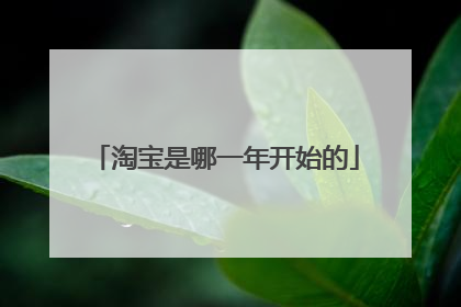 淘宝是哪一年开始的