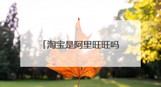 淘宝是阿里旺旺吗,两者相同吗?