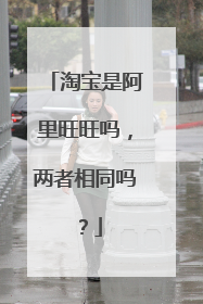 淘宝是阿里旺旺吗,两者相同吗?
