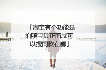 淘宝有个功能是拍照宝贝正面就可以搜同款在哪
