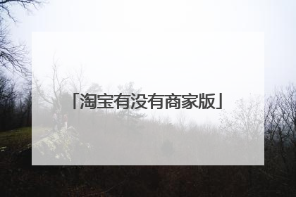 淘宝有没有商家版