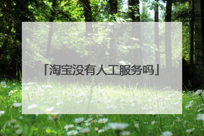 淘宝没有人工服务吗