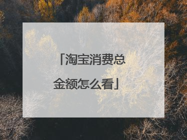 淘宝消费总金额怎么看