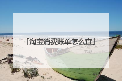 淘宝消费账单怎么查