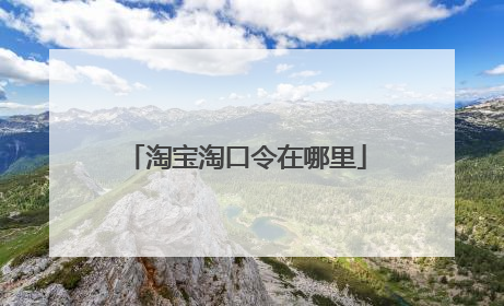 淘宝淘口令在哪里