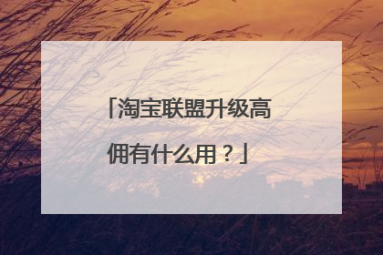 淘宝联盟升级高佣有什么用?