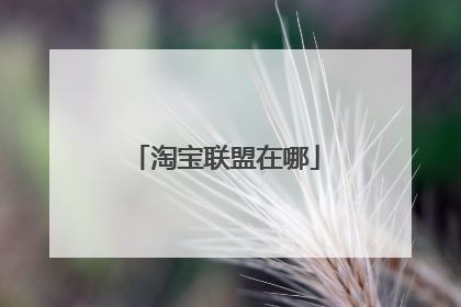 淘宝联盟在哪