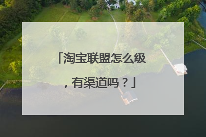 淘宝联盟怎么级，有渠道吗？