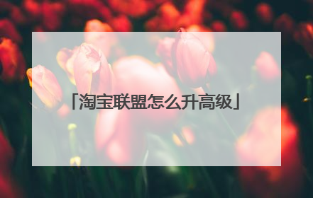 淘宝联盟怎么升高级