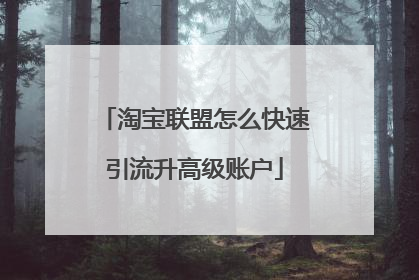 淘宝联盟怎么快速引流升高级账户