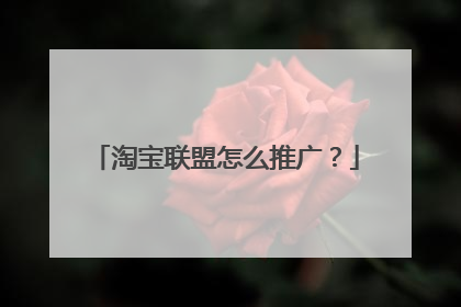 淘宝联盟怎么推广？