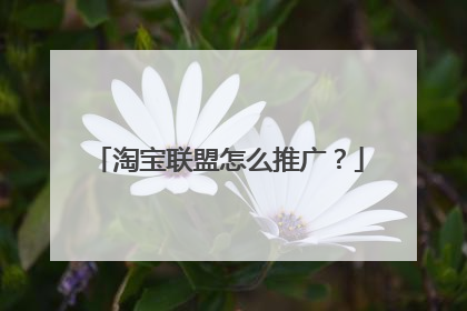 淘宝联盟怎么推广？