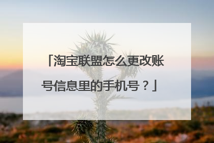 淘宝联盟怎么更改账号信息里的手机号？