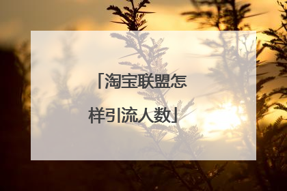 淘宝联盟怎样引流人数