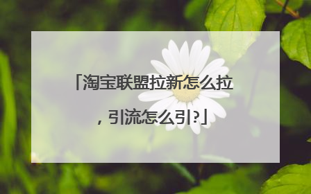 淘宝联盟拉新怎么拉 ，引流怎么引?