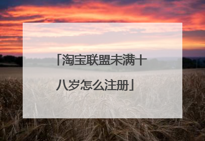 淘宝联盟未满十八岁怎么注册