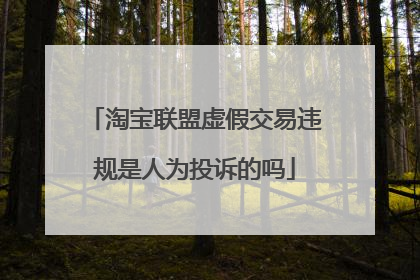 淘宝联盟虚假交易违规是人为投诉的吗