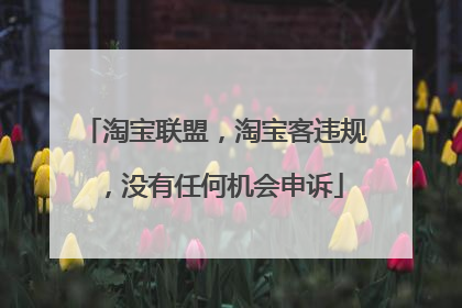 淘宝联盟,淘宝客违规,没有任何机会申诉