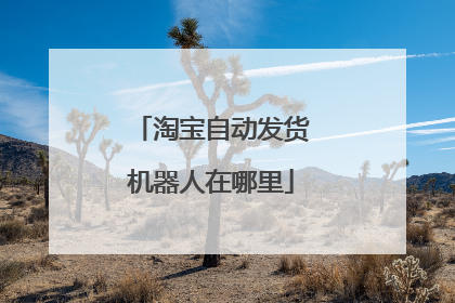 淘宝自动发货机器人在哪里
