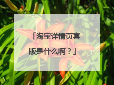 淘宝详情页套版是什么啊?