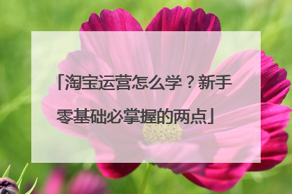 淘宝运营怎么学？新手零基础必掌握的两点