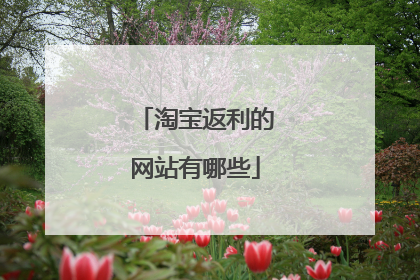 淘宝返利的网站有哪些