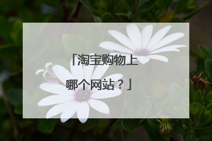 淘宝购物上哪个网站?