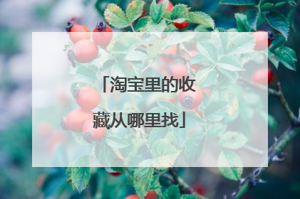 淘宝里的收藏从哪里找
