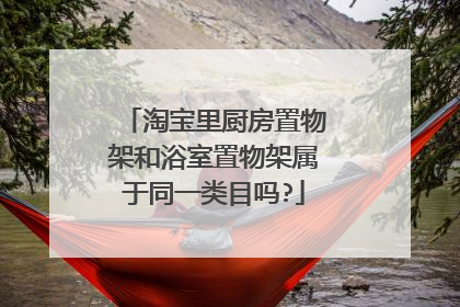淘宝里厨房置物架和浴室置物架属于同一类目吗?