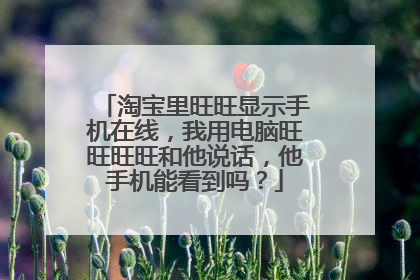 淘宝里旺旺显示手机在线,我用电脑旺旺旺旺和他说话,他手机能看到吗?