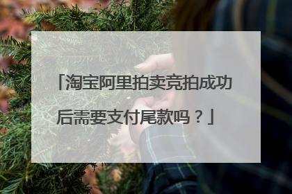 淘宝阿里拍卖竞拍成功后需要支付尾款吗?