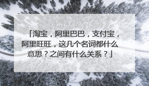 淘宝,阿里巴巴,支付宝,阿里旺旺,这几个名词都什么意思?之间有什么关系?