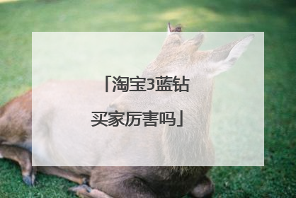 淘宝3蓝钻买家厉害吗