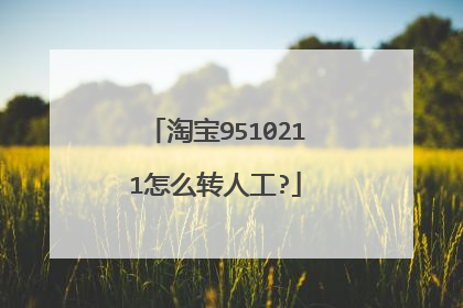 淘宝9510211怎么转人工?