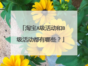 淘宝A级活动和B级活动都有哪些?