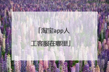 淘宝app人工客服在哪里