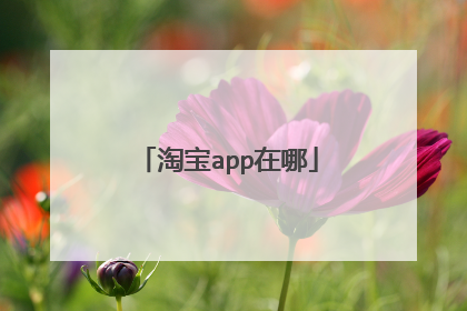 淘宝app在哪